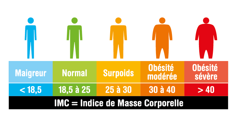 Schéma d'IMC en fonction du poids et de la taille